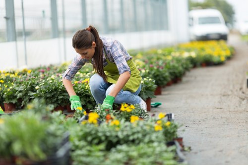 Flower bed creation in Carshalton with fresh seasonal planting