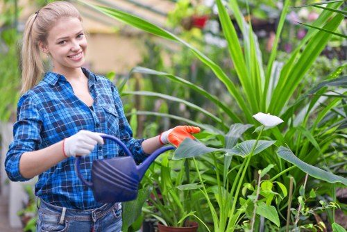 Carshalton landscapers creating a garden design