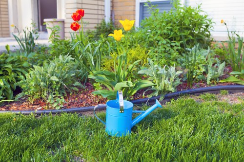 Seasonal lawn care and feeding in Carshalton