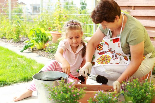 Professional lawn mowing equipment used in Carshalton