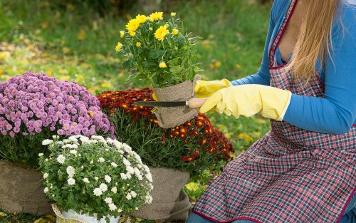 Local landscape gardeners working on a residential garden in Carshalton