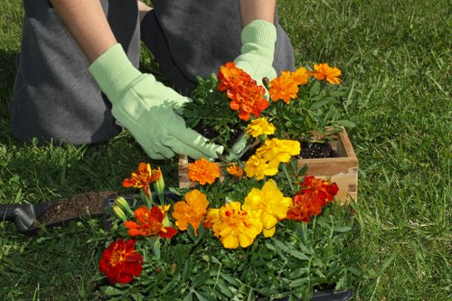 User control over cookie preferences for Landscapers Carshalton