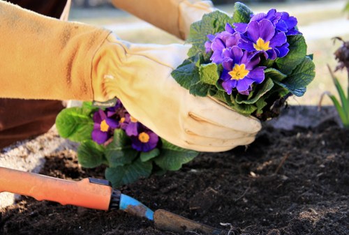 Carshalton landscaping specialists preparing an outdoor space