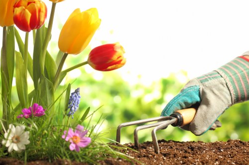Seasonal plants and shrubs arranged in a Carshalton garden