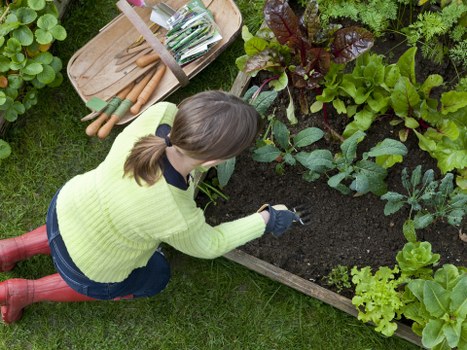 Local landscapers in Carshalton working on a balanced garden layout
