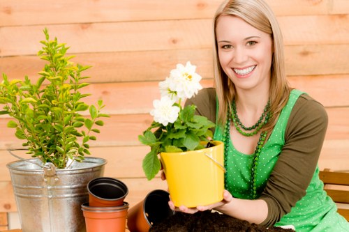 Inclusive Carshalton landscaping website content showing improved accessibility
