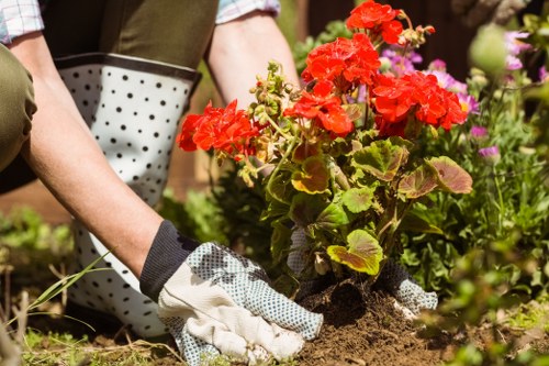 Experienced landscapers in Carshalton finishing a stylish garden