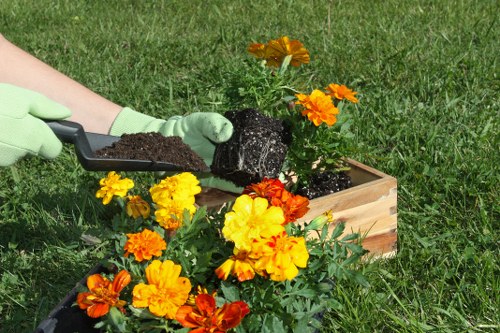 Seasonal planting ideas for landscape gardening in Carshalton