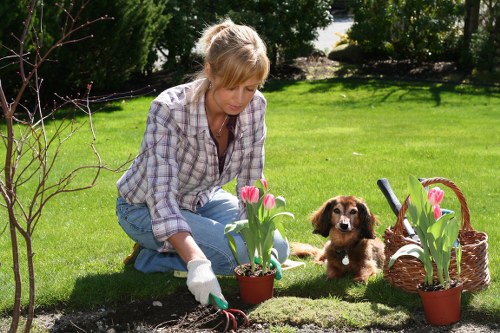 Accepted payment methods for Carshalton landscaping services