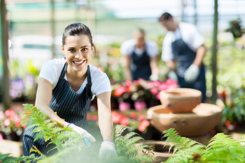 Landscape planting and paving in Carshalton